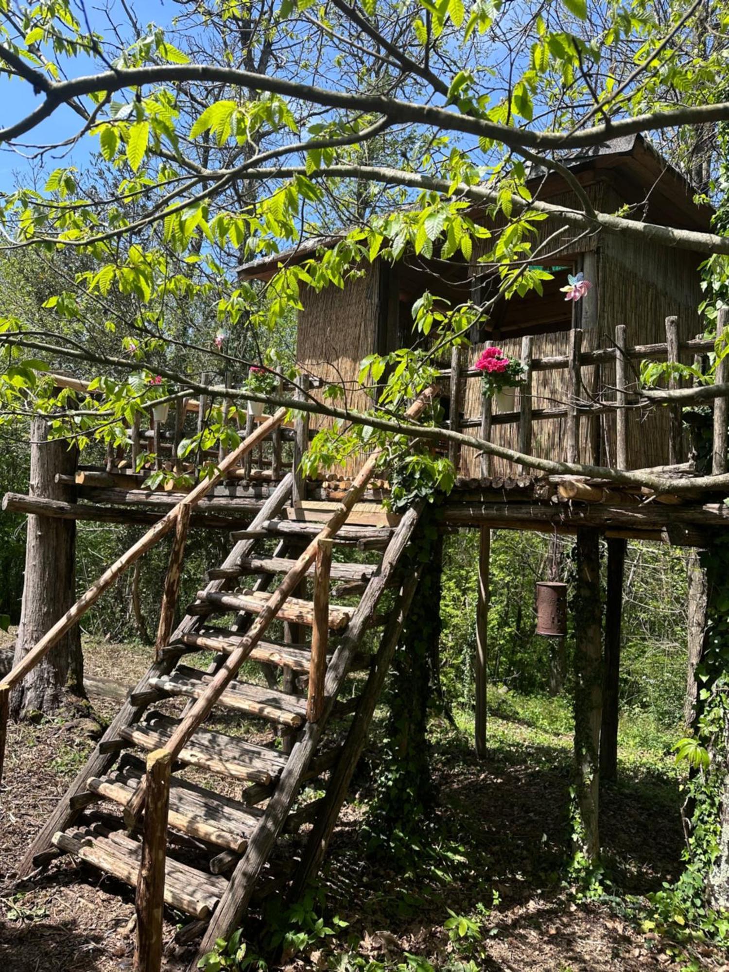 ManzianaLa Casa Degli Elfi别墅 外观 照片